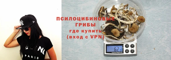 мескалин Арсеньев