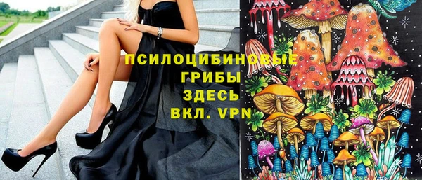 мескалин Арсеньев